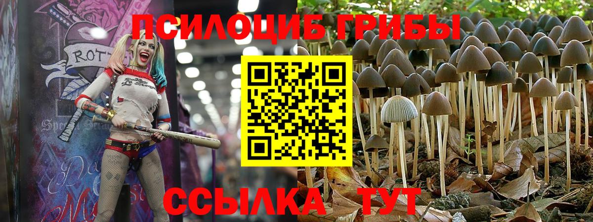 Люберцы  Галлюциногенные грибы мухоморы  Вход с VPN 