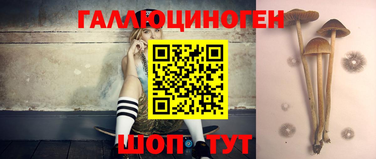 Псилоцибиновые грибы Magic Shrooms Люберцы
